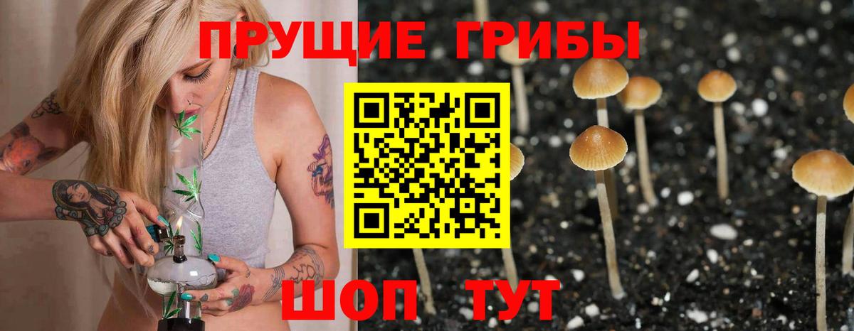 Псилоцибиновые грибы прущие грибы  Вход с VPN  где можно купить наркотик  Кувандык 