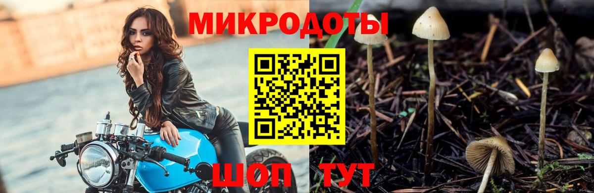 Галлюциногенные грибы MAGIC MUSHROOMS Кувандык